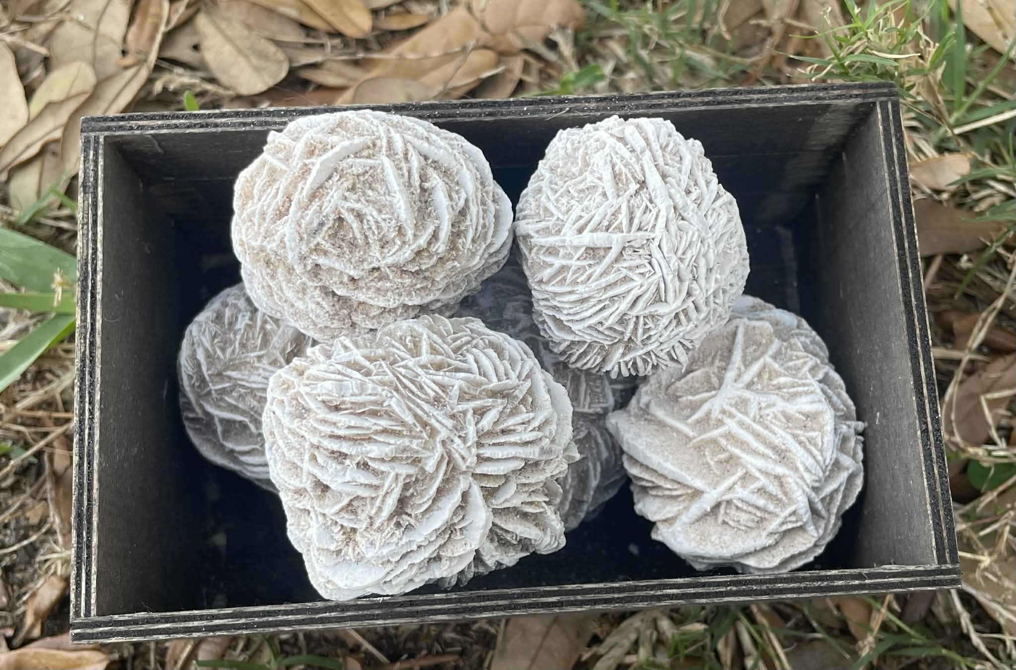 Selenite Desert Rose